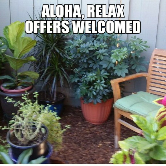 Meet your Posher, Charlotte - Picture 1 of 1